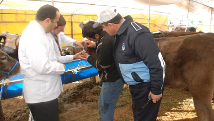 Kurbanlık Hayvan Satış Yerlerinde Denetim Yapılıyor