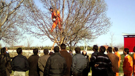 Büyükşehir'den Uygulamalı Budama Eğitim Semineri