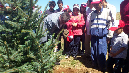 Gençler Binlerce Fidanı Toprakla Buluşturdu