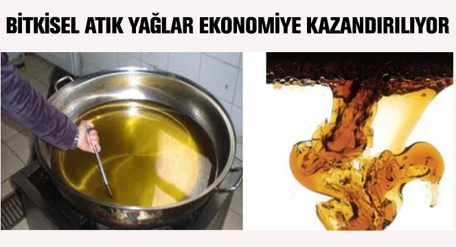 Bitkisel Atık Yağlar Ekonomiye Kazandırılıyor