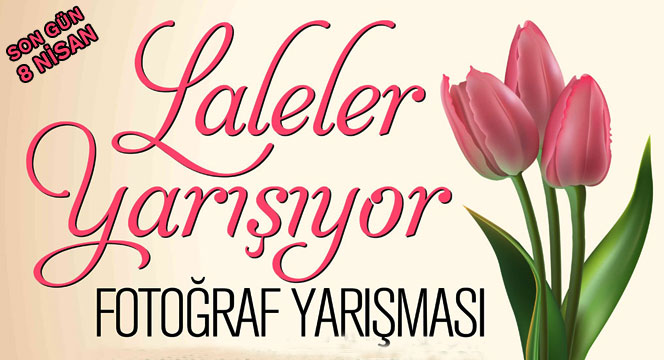 En Güzel Lale Fotoğrafları Yarışmayla Seçilecek