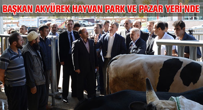 Başkan Akyürek Hayvan Park ve Pazar Yeri'nde Esnaflarla Bir Araya Geldi