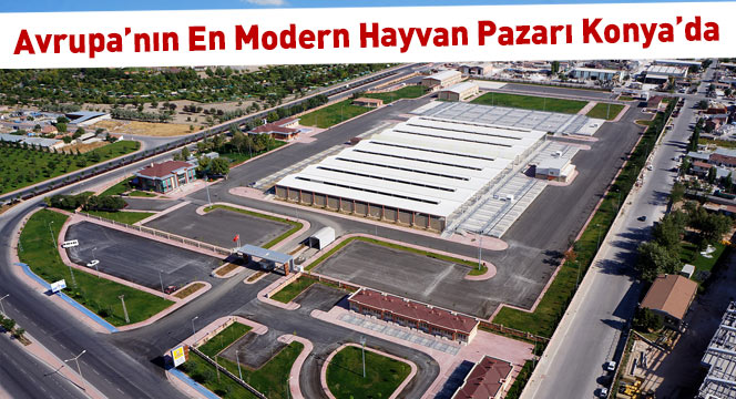 Avrupa'nın En Modern Hayvan Pazarı Konya'da 