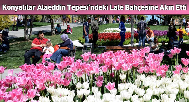 Konyalılar Alaeddin Tepesi'ndeki Lale Bahçesine Akın Etti