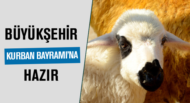 Büyükşehir Kurban Bayramı'na Hazır
