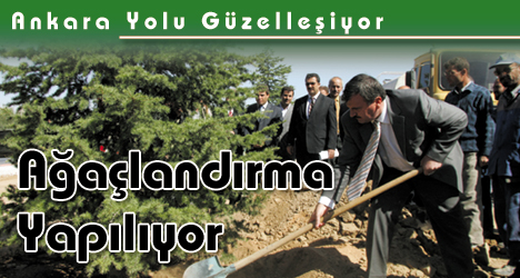 Ankarayolu Ağaçlandırma Çalışması ve Mevlana Kültür Merkezi