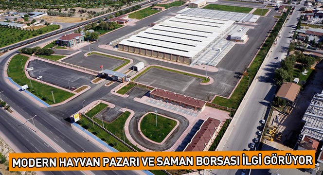 Modern Hayvan Pazarı ve Saman Borsası İlgi Görüyor