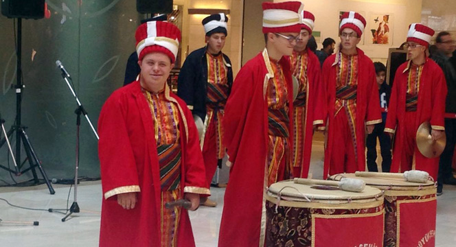 Hayata Renk Kattılar