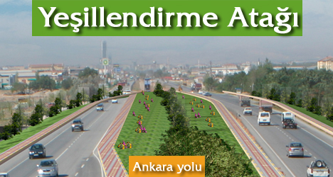 Ankarayolu Yeşillendiriliyor