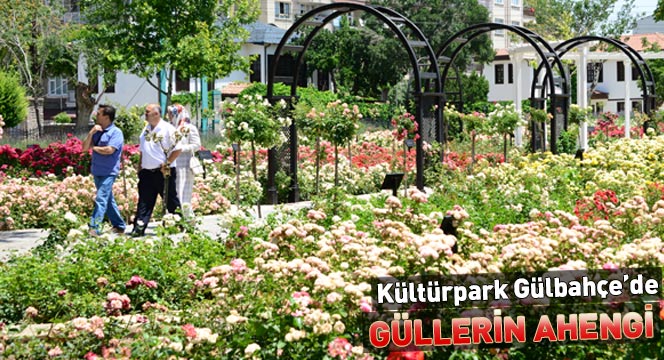 Kültürpark Gülbahçe'de Güllerin Ahengi