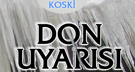 Koski'den DON Uyarısı