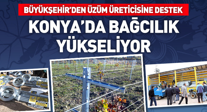 Büyükşehir'den Üzüm Üreticisine Destek