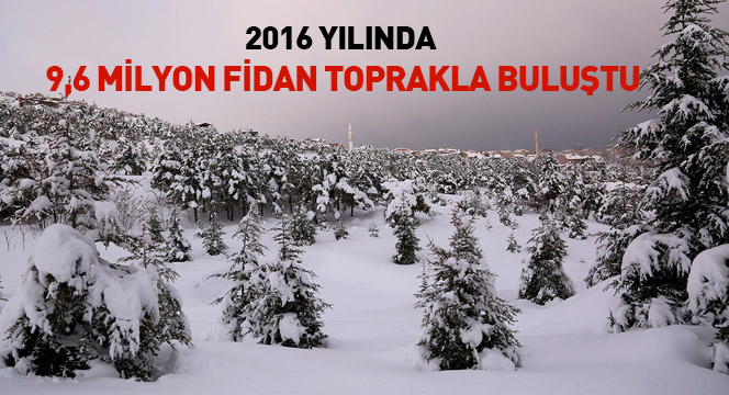2016'da 9,6 Milyon Fidan Toprakla Buluştu