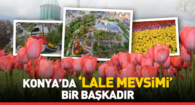 Konya'da 'Lale Mevsimi' Bir Başkadır