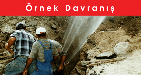 Örnek Davranış
