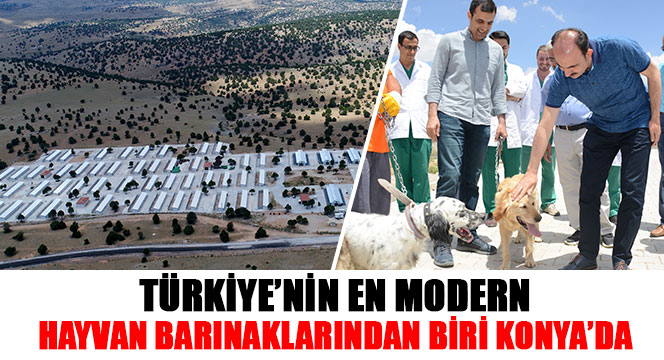 Türkiye'nin En Modern Hayvan Barınaklarından Biri Konya'da