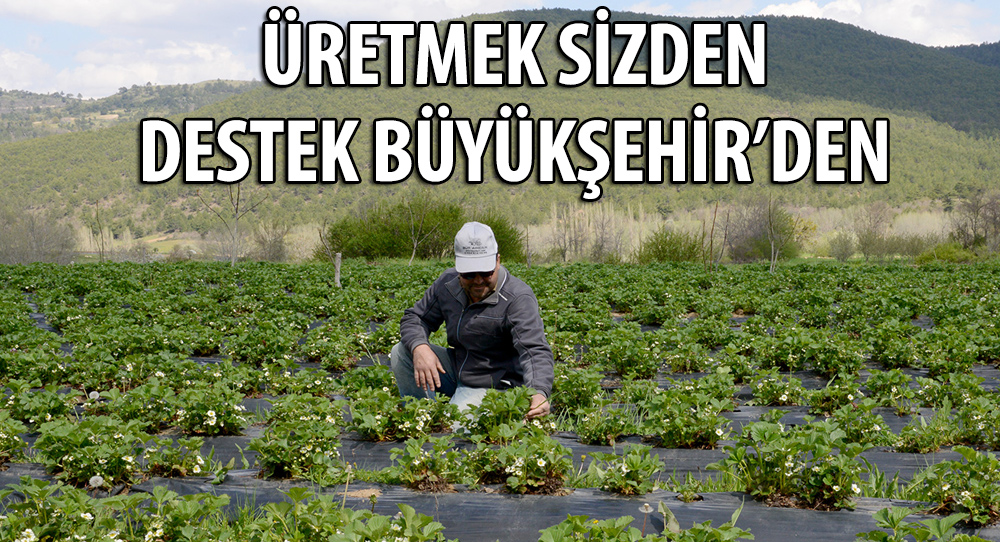 Büyükşehir Her Zaman Çiftçinin ve Üreticinin Yanında 