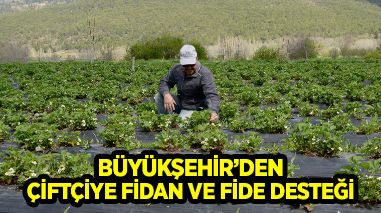 Büyükşehir'den Çiftçiye Fidan ve Fide Desteği