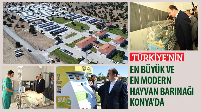 Türkiye'nin En Büyük ve En Modern Hayvan Barınağı Konya'da