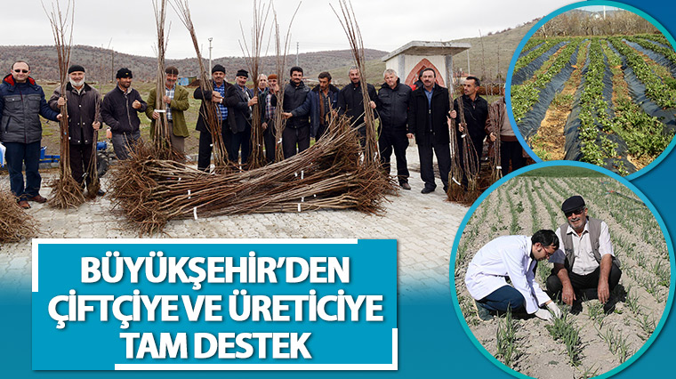Büyükşehir'den Çiftçiye ve Üreticiye Tam Destek