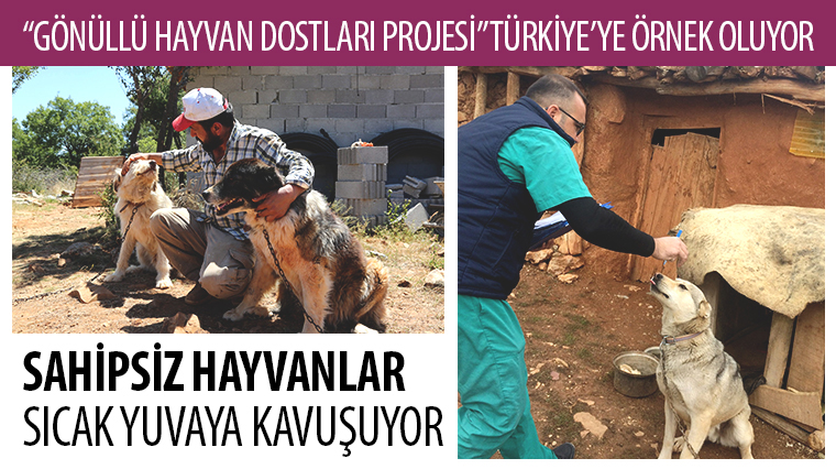'Gönüllü Hayvan Dostları Projesi' Türkiye'ye Örnek Oluyor