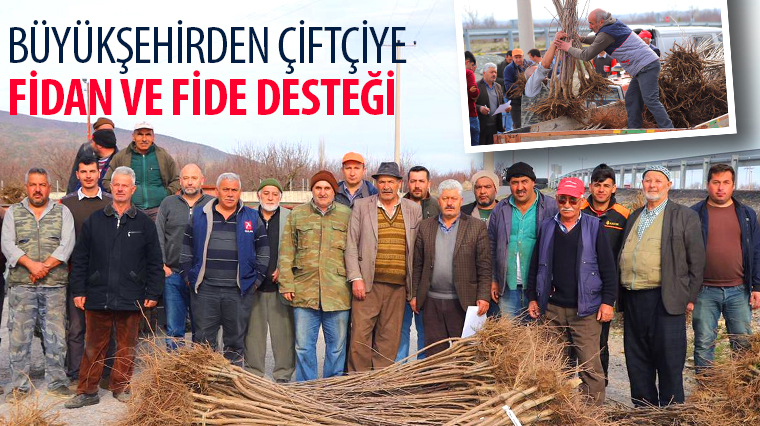 Büyükşehirden Çiftçiye Fidan ve Fide Desteği