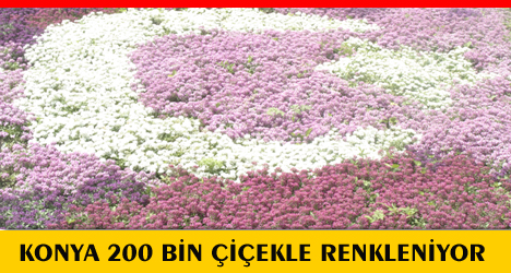 Konya 200 Bin Çiçekle Renkleniyor