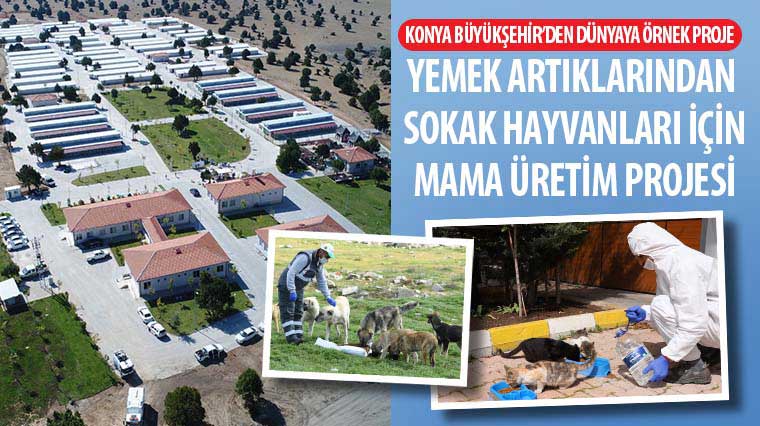 Konya Büyükşehir'den Dünyaya Örnek Proje