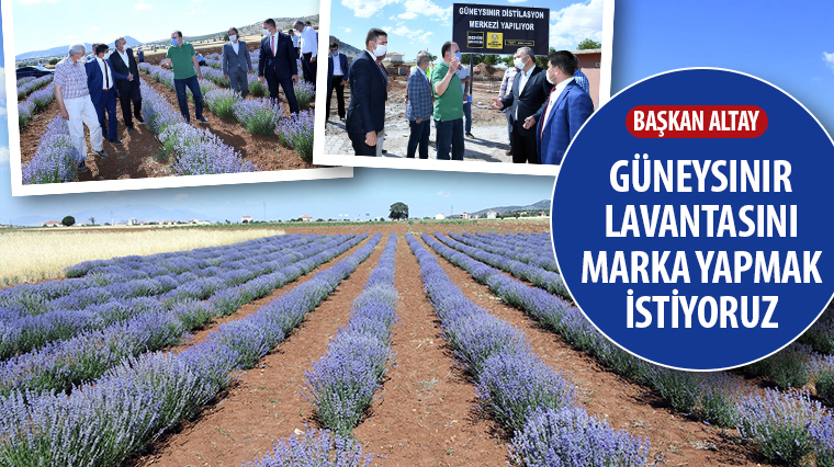 Başkan Altay: Güneysınır Lavantasını Marka Yapmak İstiyoruz