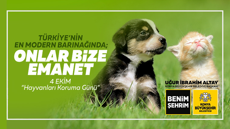 Başkan Altay Dünya Hayvanları Koruma Günü'nü Kutladı 