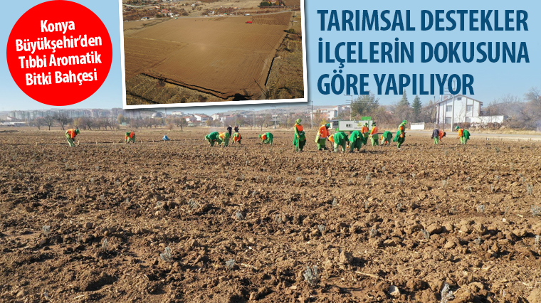 Konya Büyükşehir'den Tıbbi Aromatik Bitki Bahçesi
