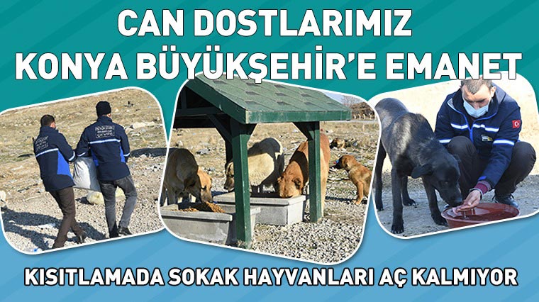 Can Dostlarımız Konya Büyükşehir'e Emanet