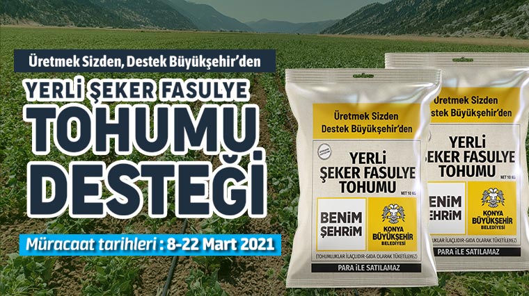 Büyükşehir'den Üreticiye Yerli Şeker Fasulye Tohumu Desteği