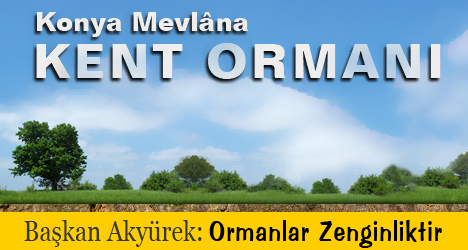Mevlana Kent Ormanı Hizmetinizde