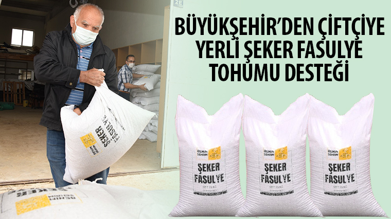 Büyükşehir'den Çiftçiye Yerli Şeker Fasulye Tohumu Desteği 
