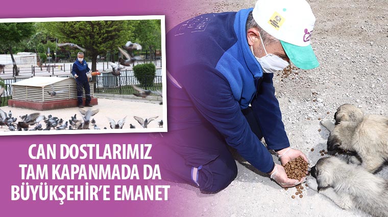 Can Dostlarımız Tam Kapanmada da Büyükşehir'e Emanet 