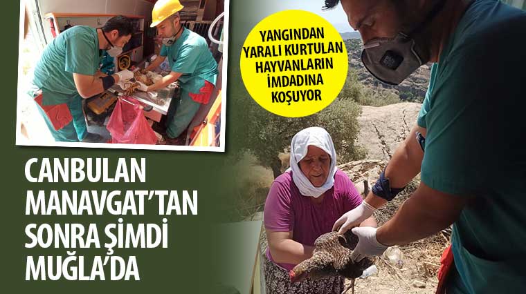 'Canbulan' Manavgat'tan Sonra Şimdi Muğla'da 