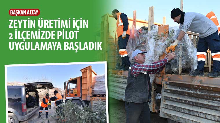 Başkan Altay: 'Zeytin Üretimi İçin 2 İlçemizde Pilot Uygulamaya Başladık'