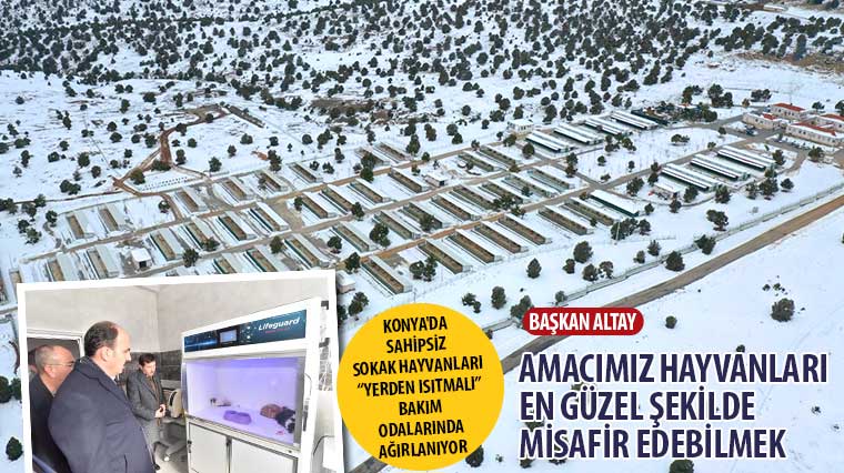 Konya'da Sahipsiz Sokak Hayvanları 'Yerden Isıtmalı' Bakım Odalarında Ağırlanıyor
