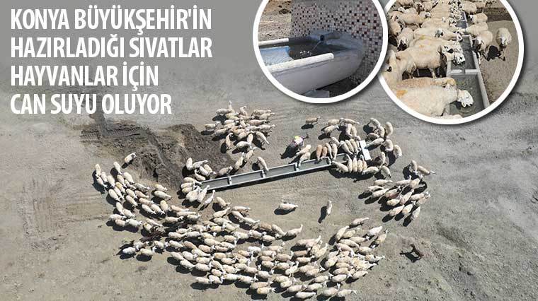 Konya Büyükşehir'in Hazırladığı Sıvatlar Hayvanlar İçin Can Suyu Oluyor