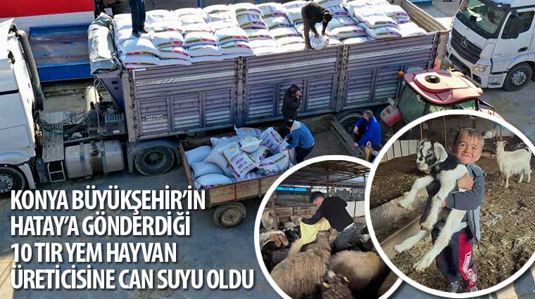 Konya Büyükşehir'in Hatay'a Gönderdiği 10 Tır Yem Hayvan Üreticisine Can Suyu Oldu