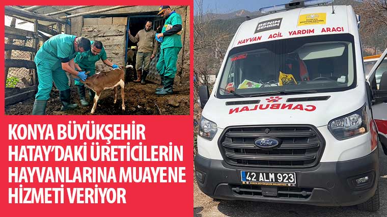 Konya Büyükşehir Hatay'daki Üreticilerin Hayvanlarına Muayene Hizmeti Veriyor