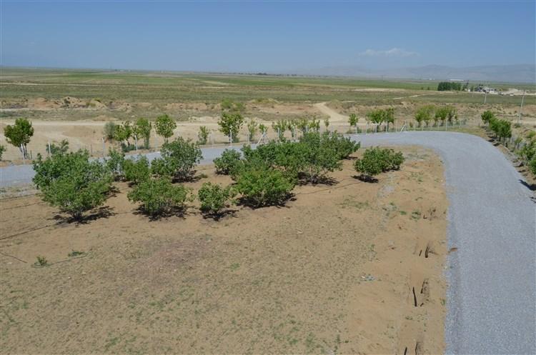 KONGUL MAHALLESİ MESİRE ALANI VE PARK YAPIMI faaliyet gorseli