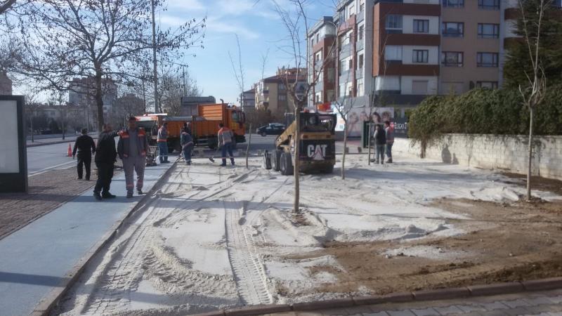 BARIŞ CADDESİ GENELİNDE AĞAÇ DİBİ TANZİMİ faaliyet gorseli
