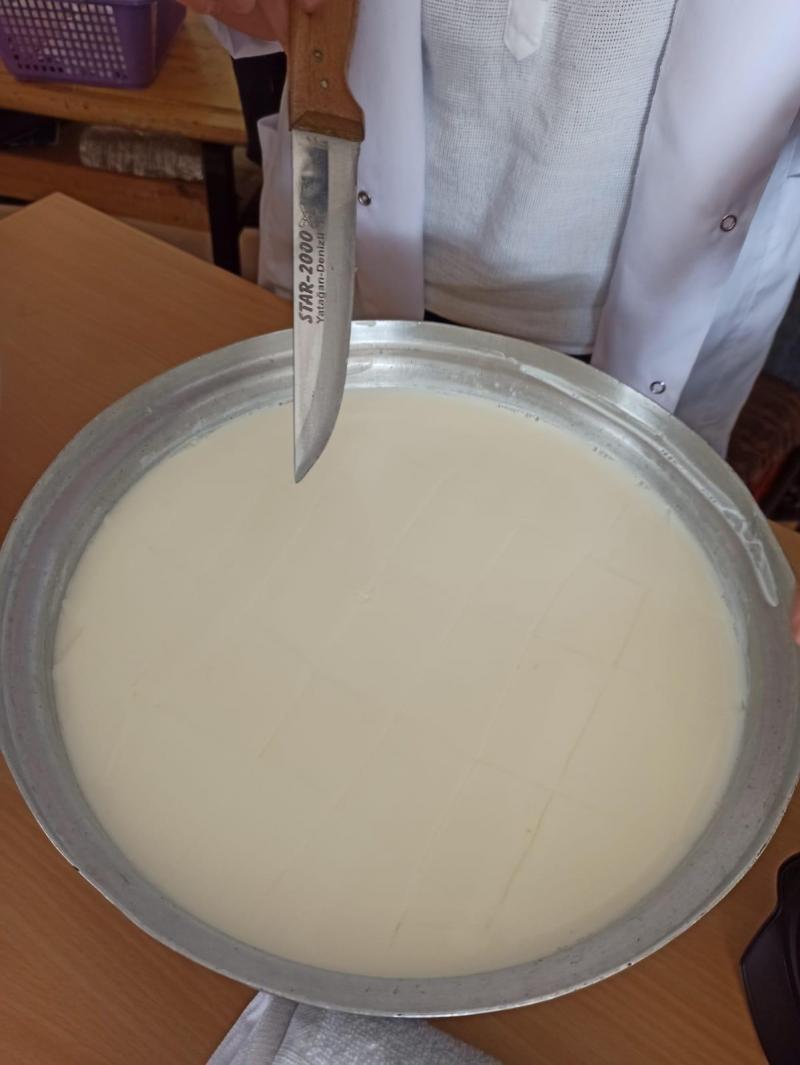  KARADONA MAHALLESİ GÜVENLİ GIDA VE TARLA BİTKİLERİ EĞİTİMİ faaliyet gorseli