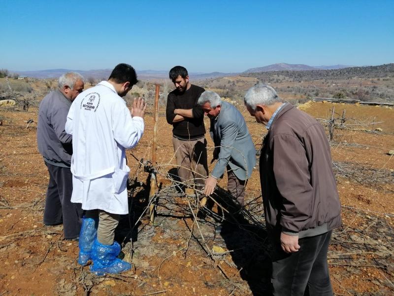 HAMZALAR MAHALLESİNDE MODERN SULAMA VE BAHÇE BİTKİLERİ EĞİTİMİ faaliyet gorseli