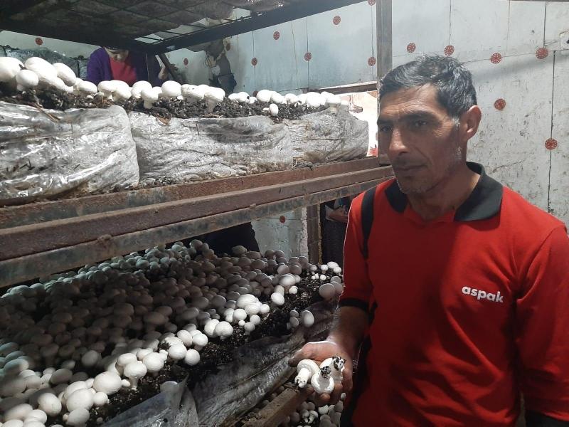  İLÇESİ MERKEZİ BAHÇE BİTKİLERİ EĞİTİMİ faaliyet gorseli