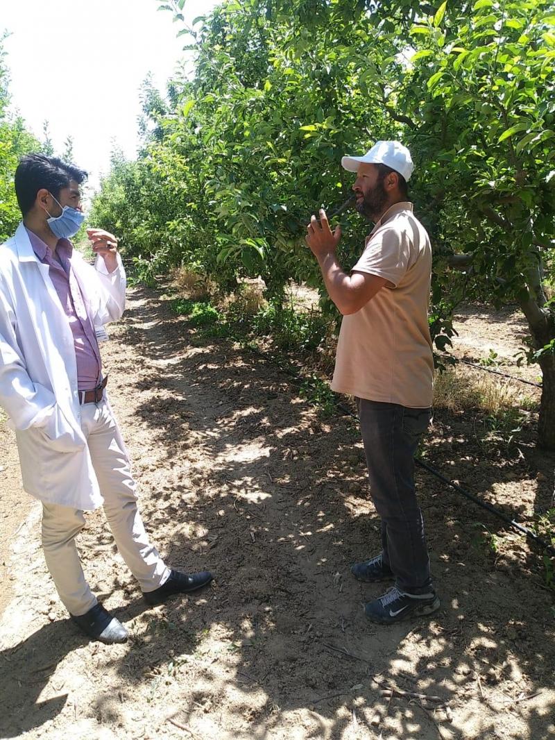 YALIHÜYÜK MERKEZDE BAHÇE BİTKİLERİ VE TARLA BİTKİLERİ EĞİTİMİ faaliyet gorseli