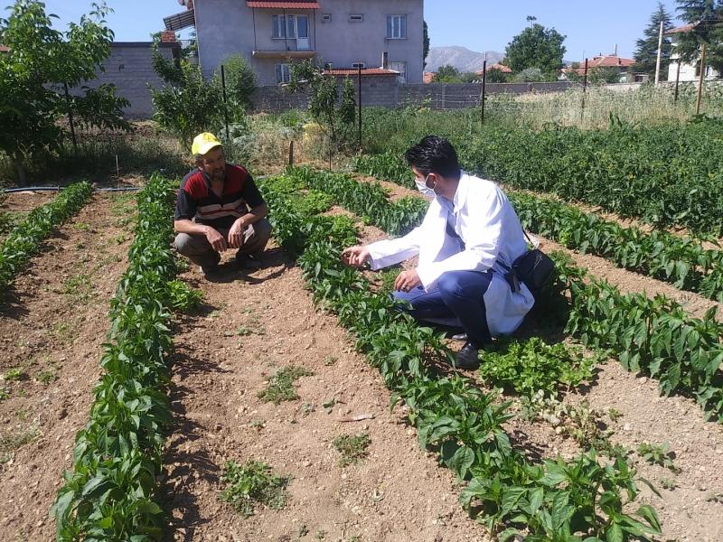 KARAAĞA MAHALLESİNDE BAHÇE BİTKİLERİ EĞİTİMİ faaliyet gorseli