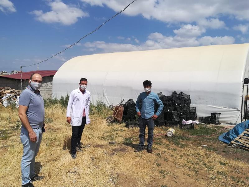 HAMZALAR MAHALLESİNDE BAHÇE BİTKİLERİ EĞİTİMİ faaliyet gorseli